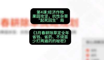 第4节：经济作物果园攻坚，抗性杂草&ldquo;起死回生&rdquo;局，课程：《3月春耕除草定全年：省钱、省药、不烧苗、少打两遍药的秘密》