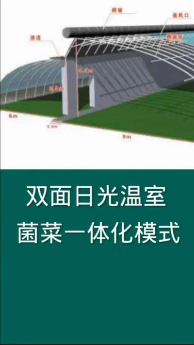 双面日光温室菌菜一体化模式，为现代农业利用设施的一种高效种植模式。食用菌排出二氧化碳为蔬菜生长所需提供气体，蔬菜排出氧气正好为食用菌提供生长所需的氧气，彼此促进生长，是现代农业发展的一种有效途径。