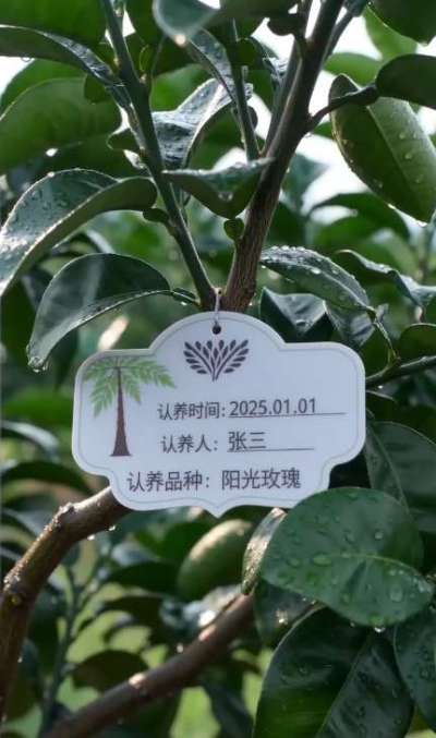 果园生意难？
客户少、预售难、溯源弱、复购低？
用 SaaS 认养平台，一键解决：
✅ 认养挂牌，让客户为 &ldquo;自己的树&rdquo; 买单，提前锁定全年收益
✅ 可视化监控，手机端实时看生长，客户信任度翻倍
✅ 